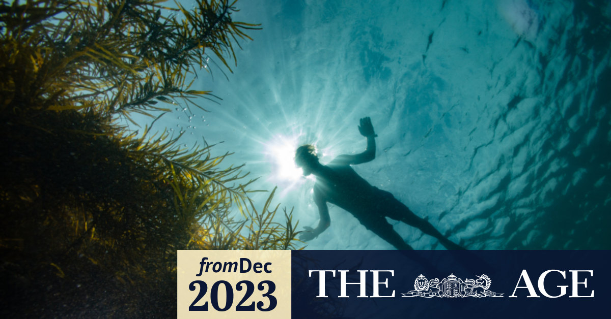 The best places to snorkel near Melbourne Jawbone Bay, Ricketts Point